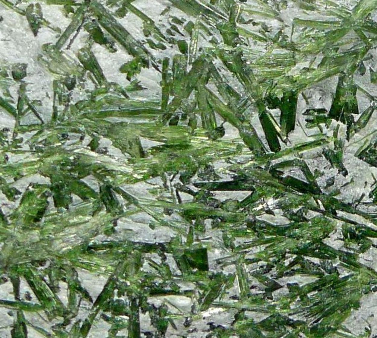 Actinolite