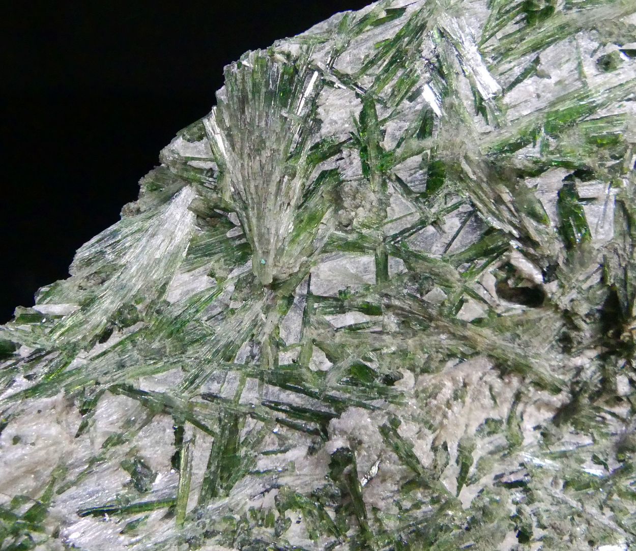 Actinolite