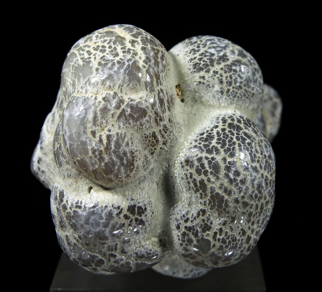 Snake Skin Quartz