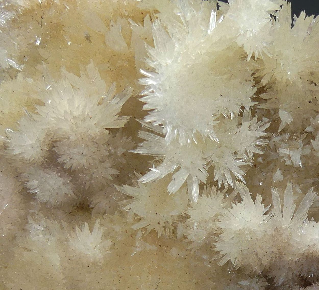 Aragonite