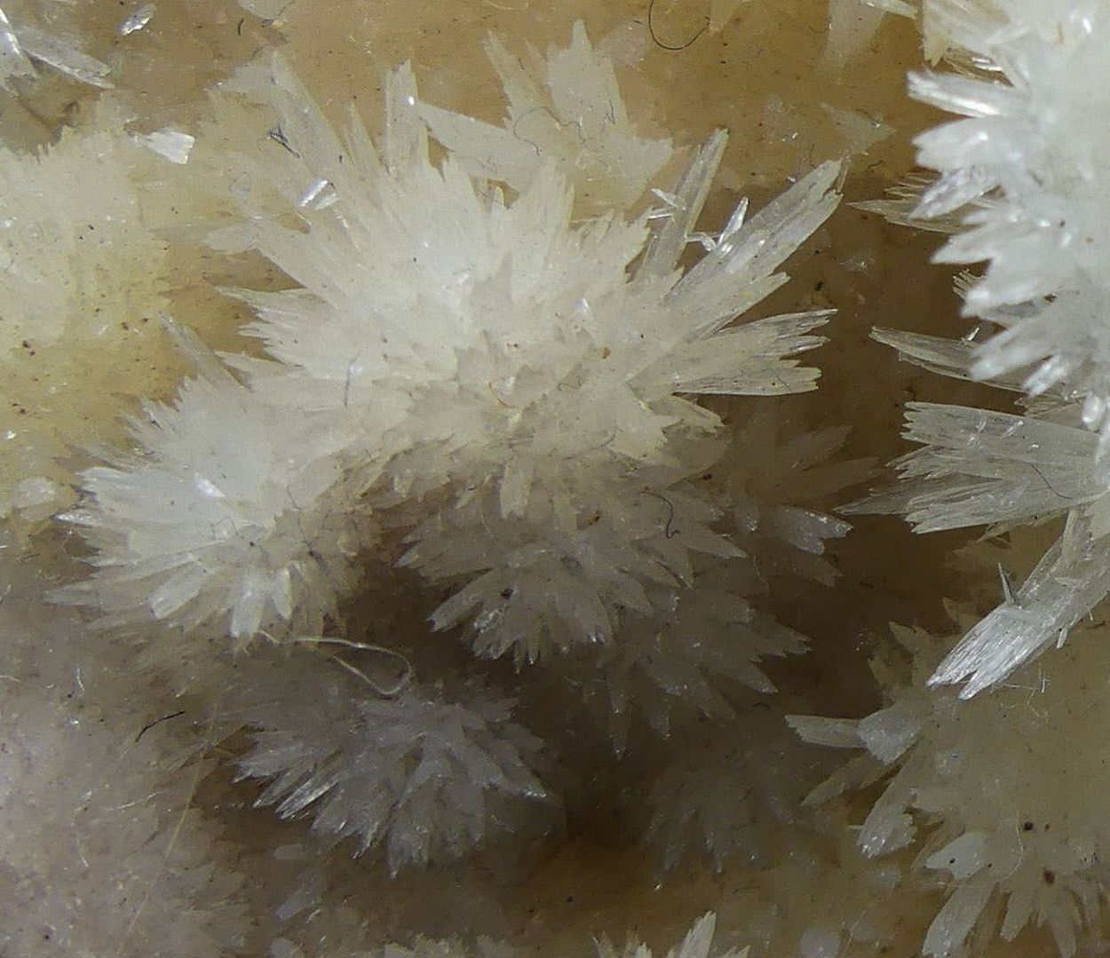 Aragonite