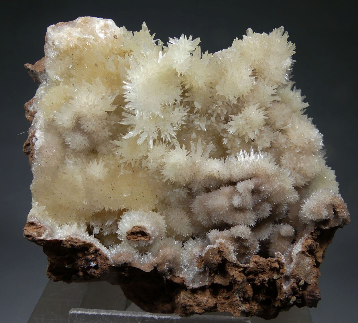 Aragonite