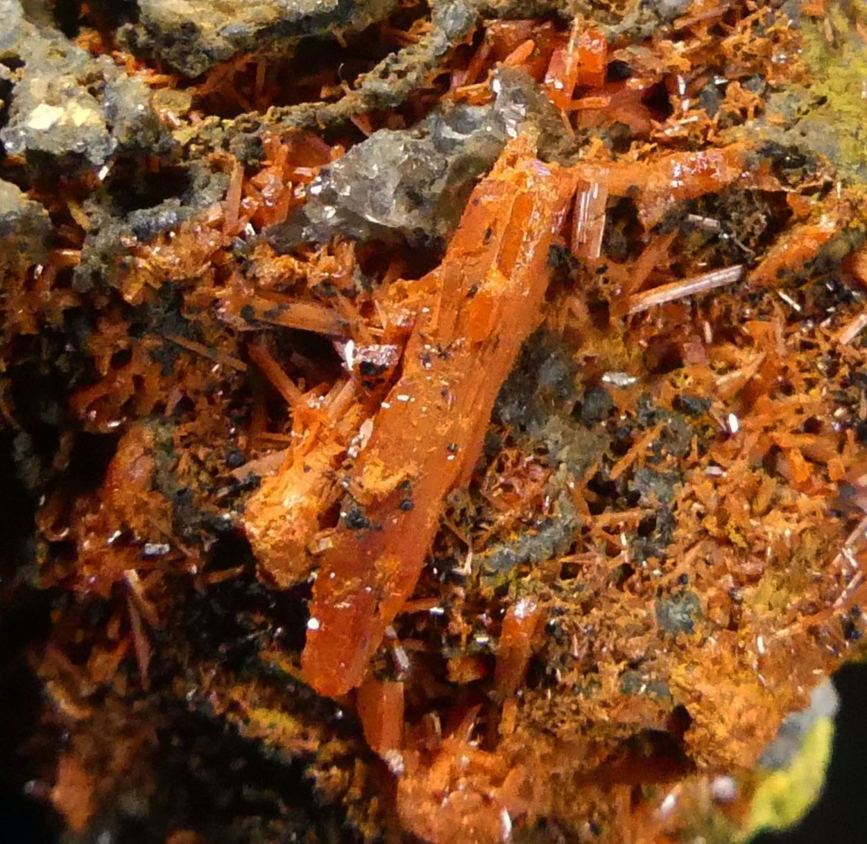 Crocoite With Bindheimite