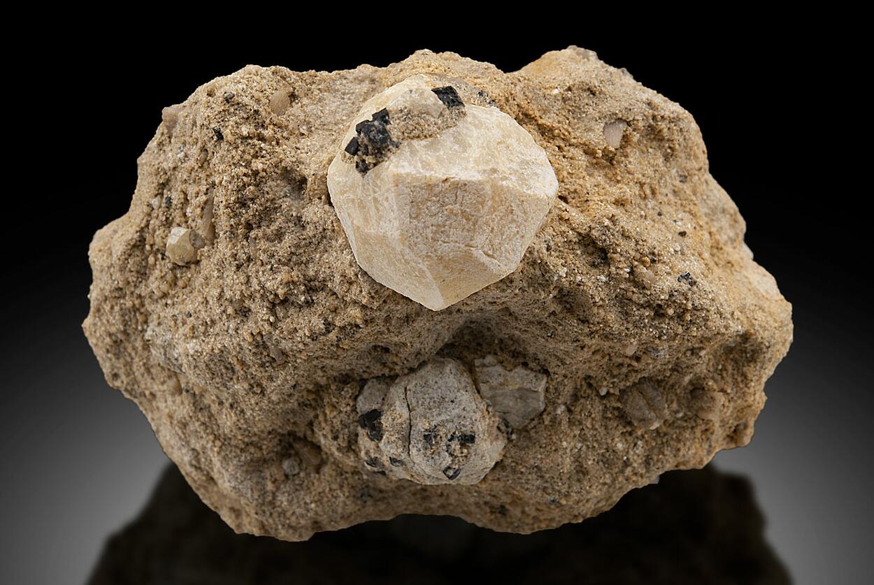 Leucite & Augite