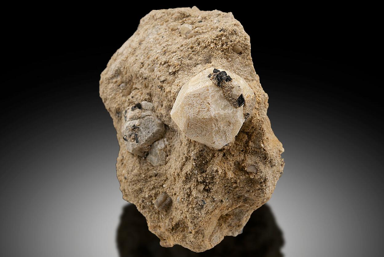 Leucite & Augite