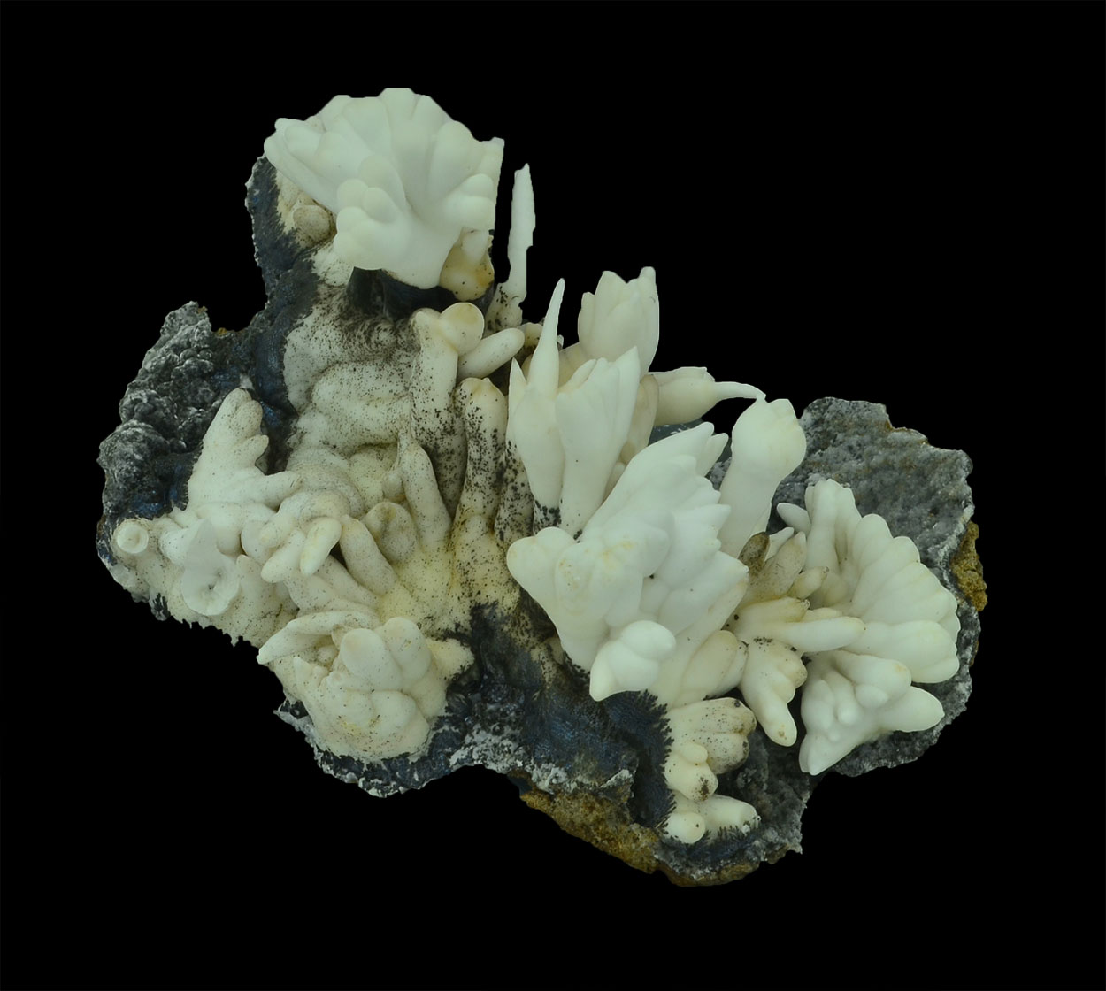 Aragonite