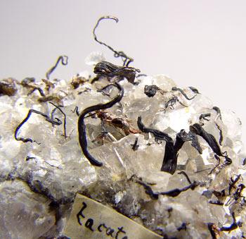 Native Silver