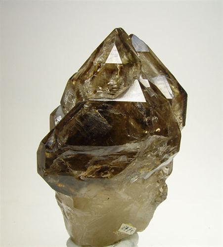 Sceptre Quartz