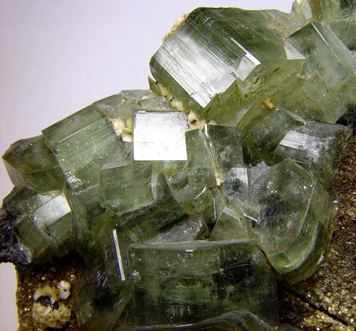 Fluorapatite