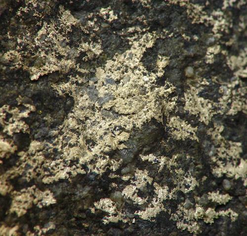 Native Silver