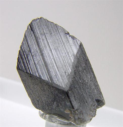 Whewellite