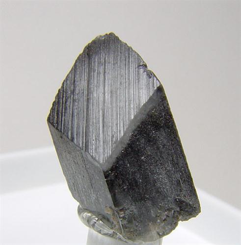 Whewellite