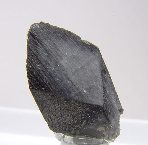 Whewellite