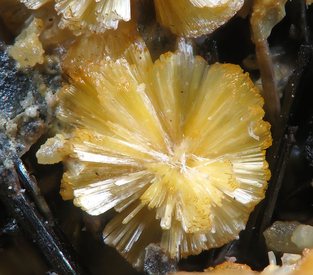 Klebelsbergite