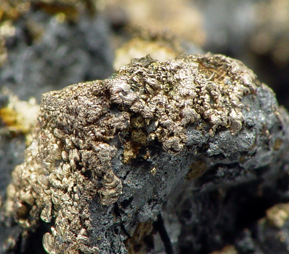 Native Silver On Acanthite