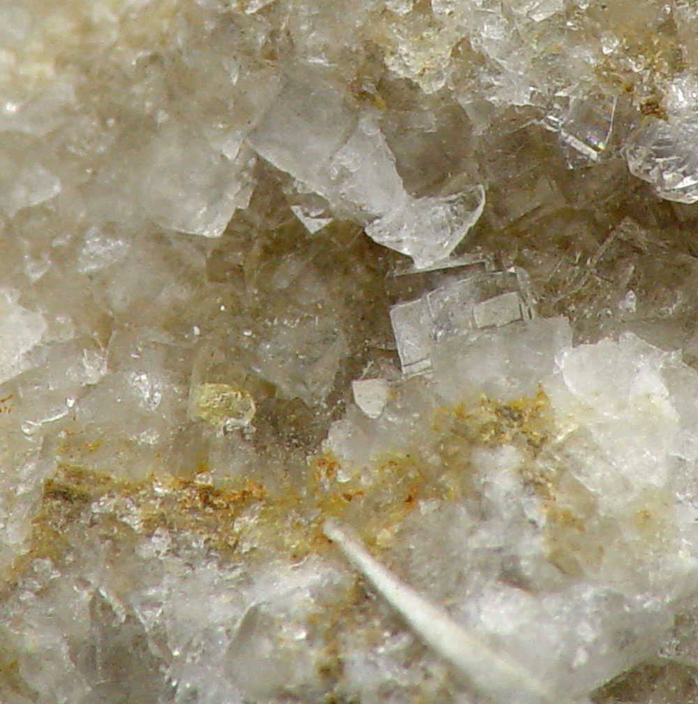 Weddellite