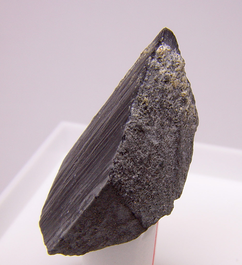 Whewellite