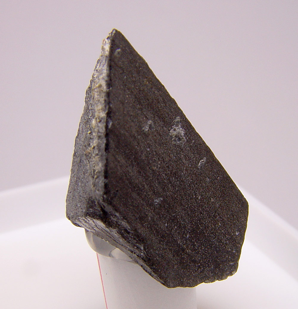 Whewellite