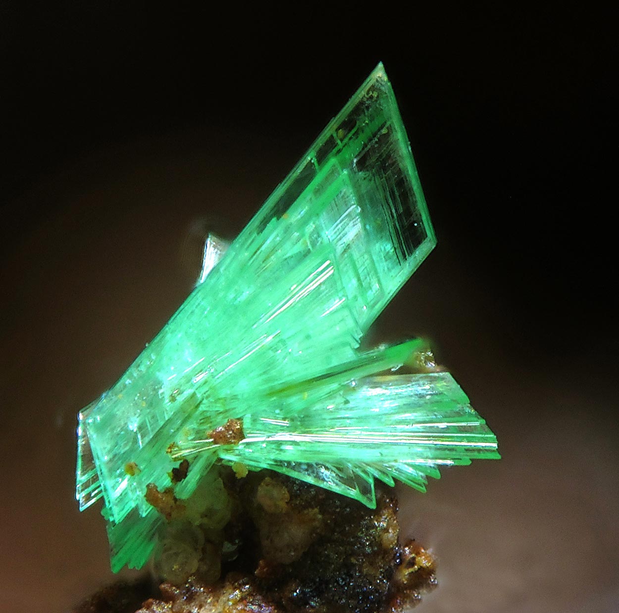 Annabergite