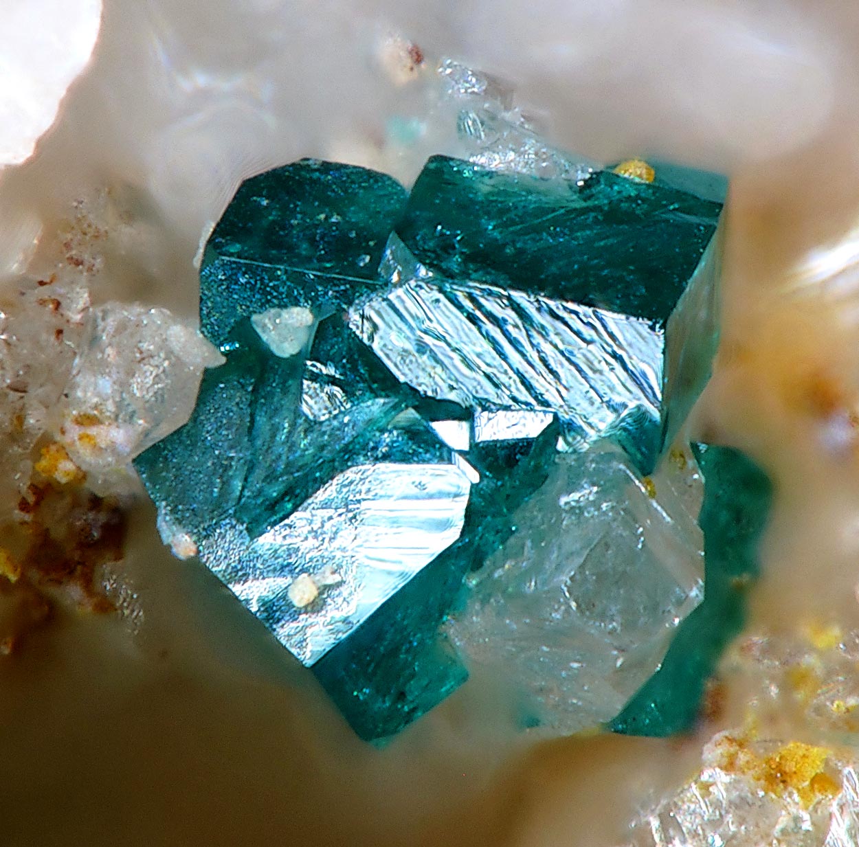 Clinoatacamite