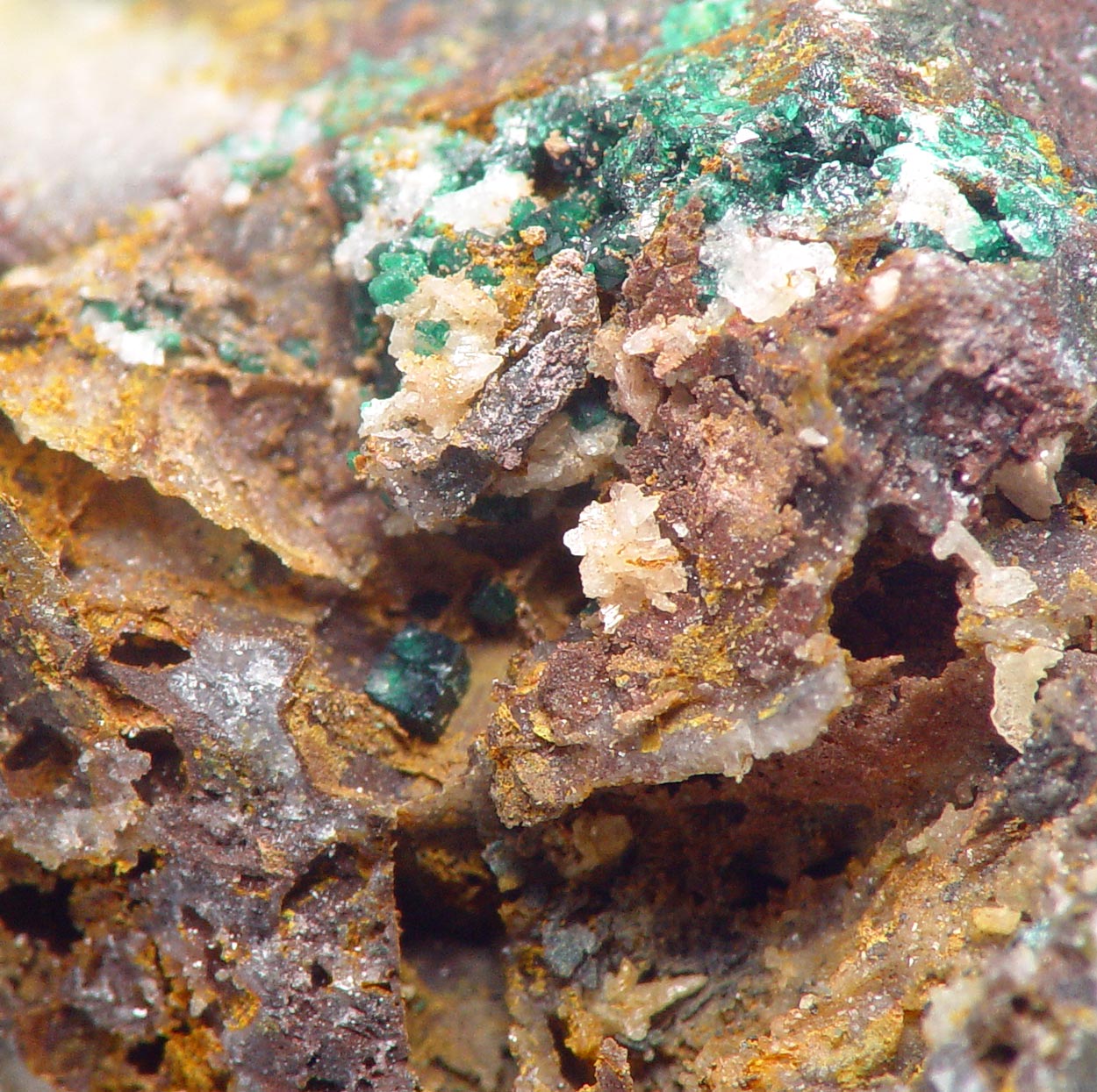 Clinoatacamite