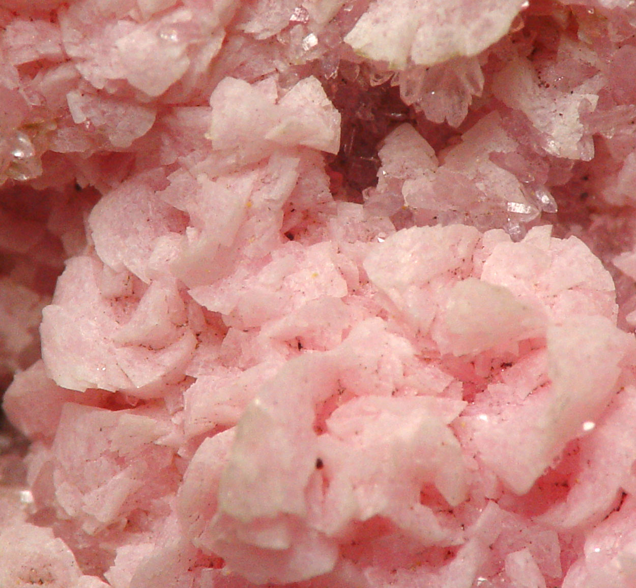 Rhodochrosite