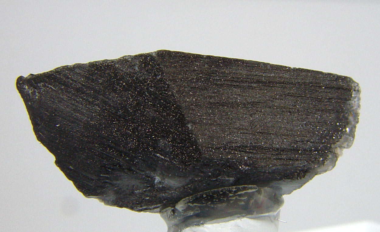 Whewellite