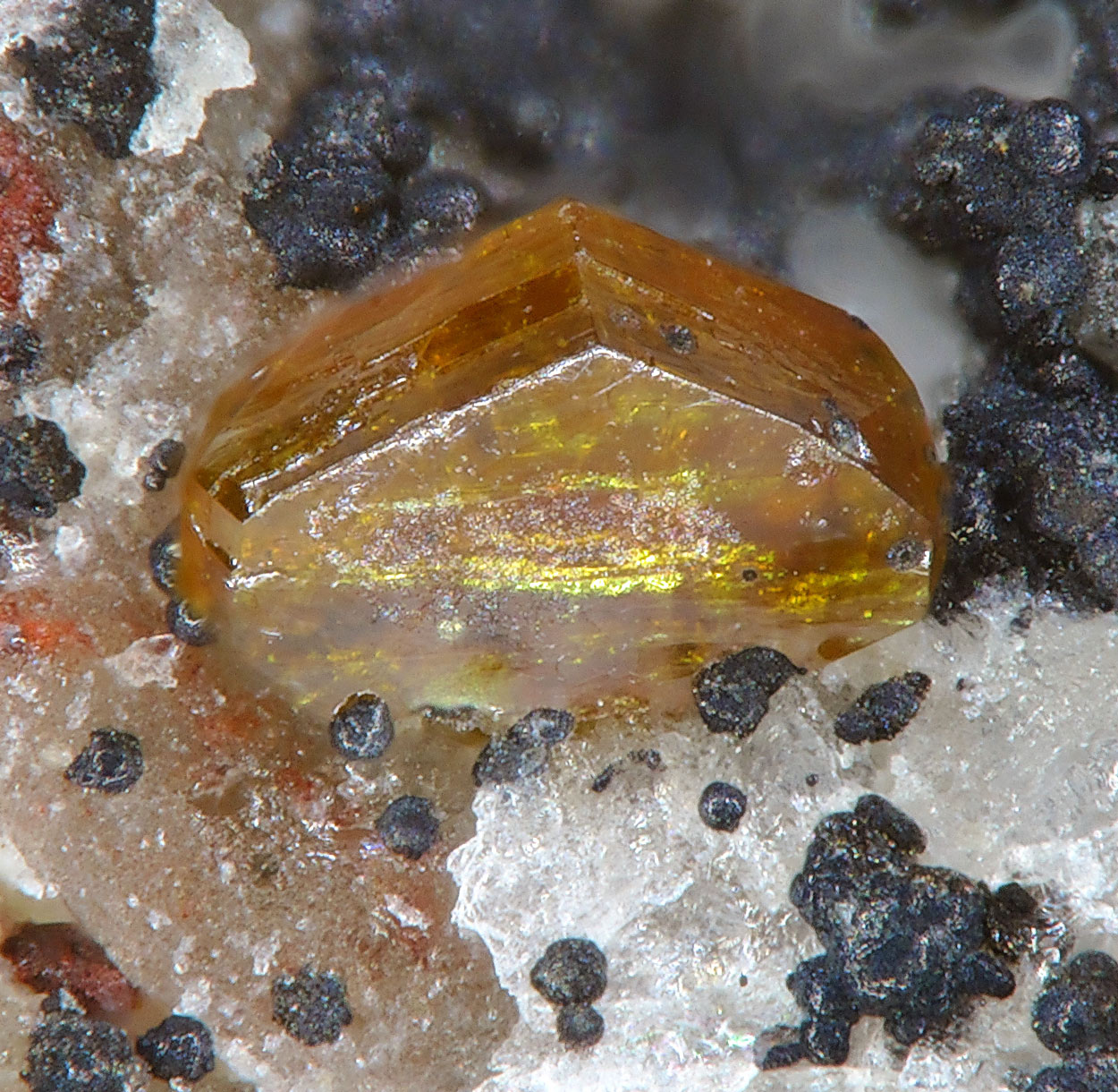 Pucherite
