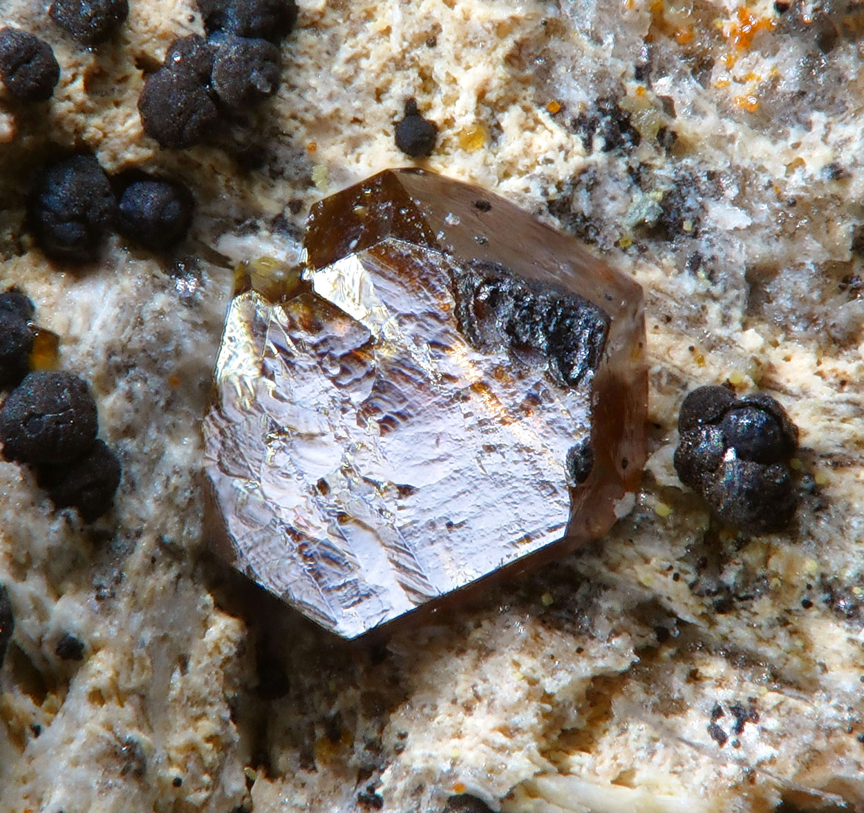 Pucherite