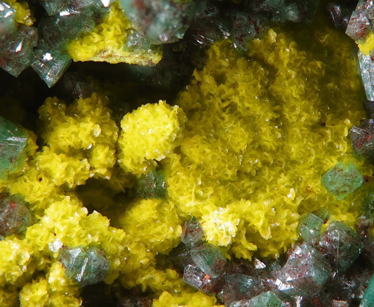 Zincgartrellite