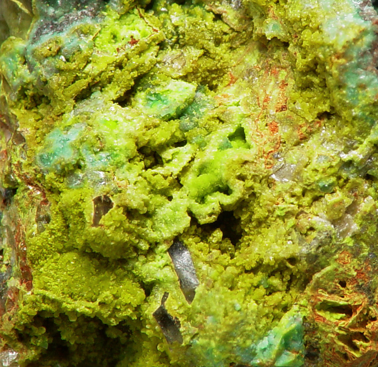 Zincgartrellite