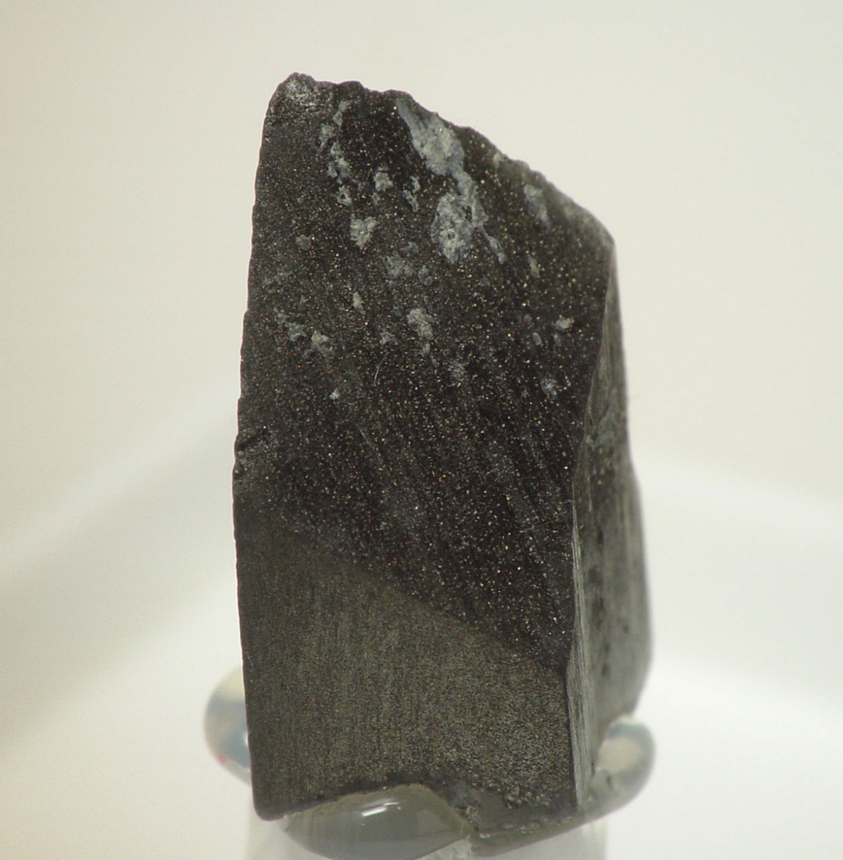 Whewellite