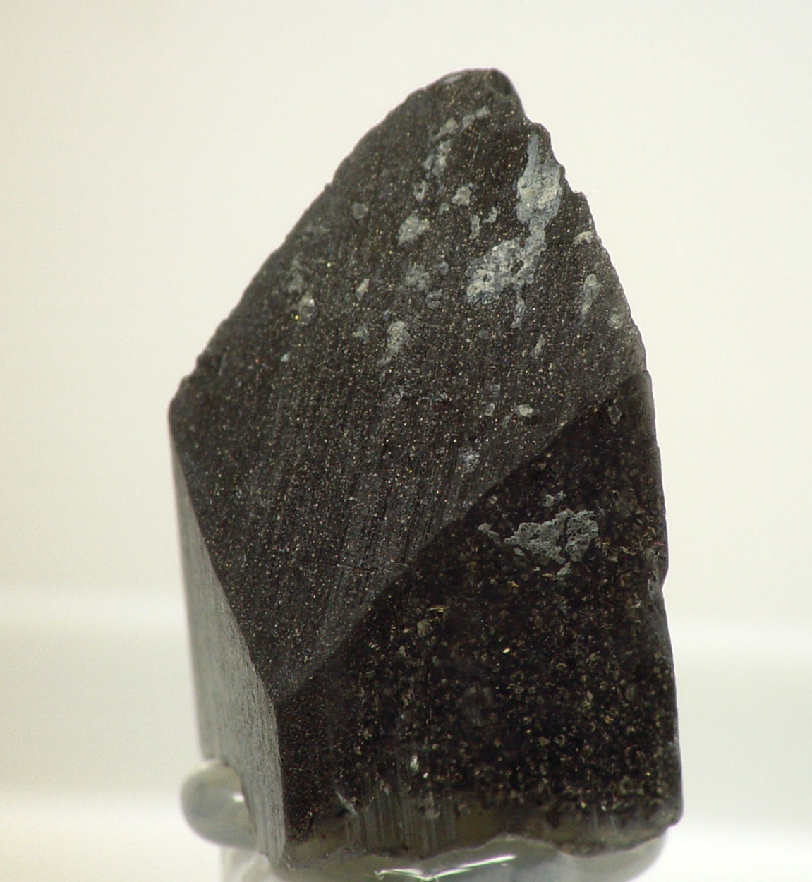 Whewellite