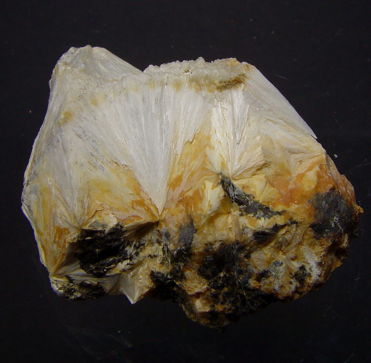 Pectolite