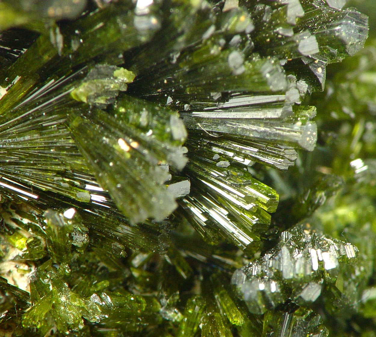 Epidote