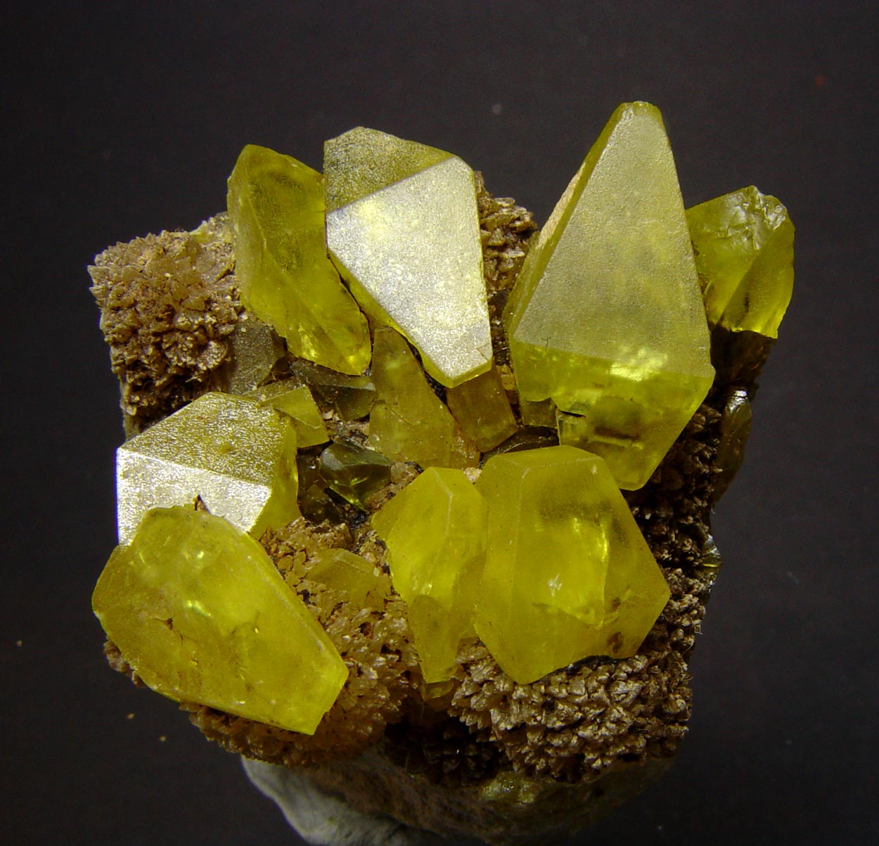 Native Sulphur