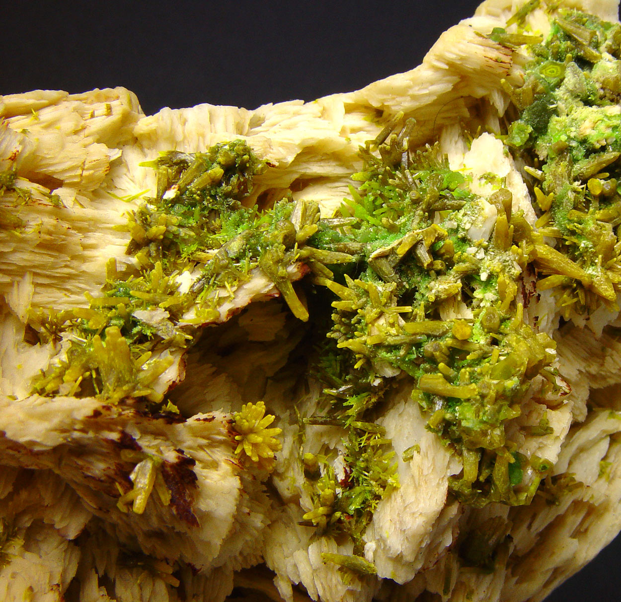 Pyromorphite On Baryte