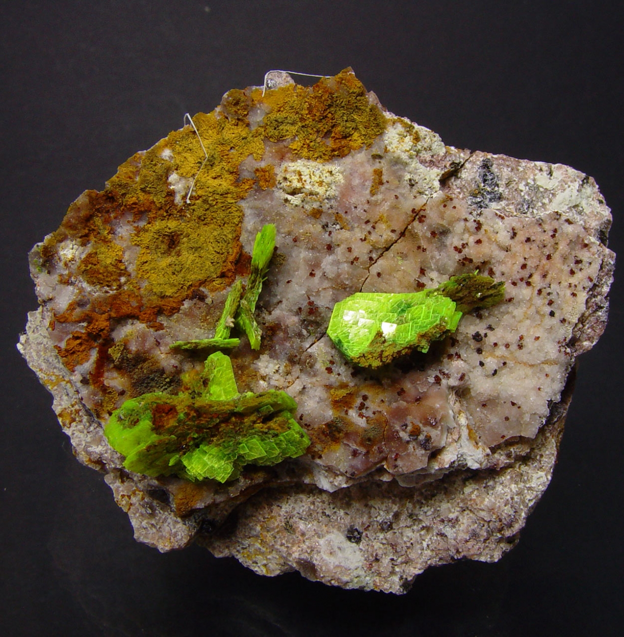 Autunite