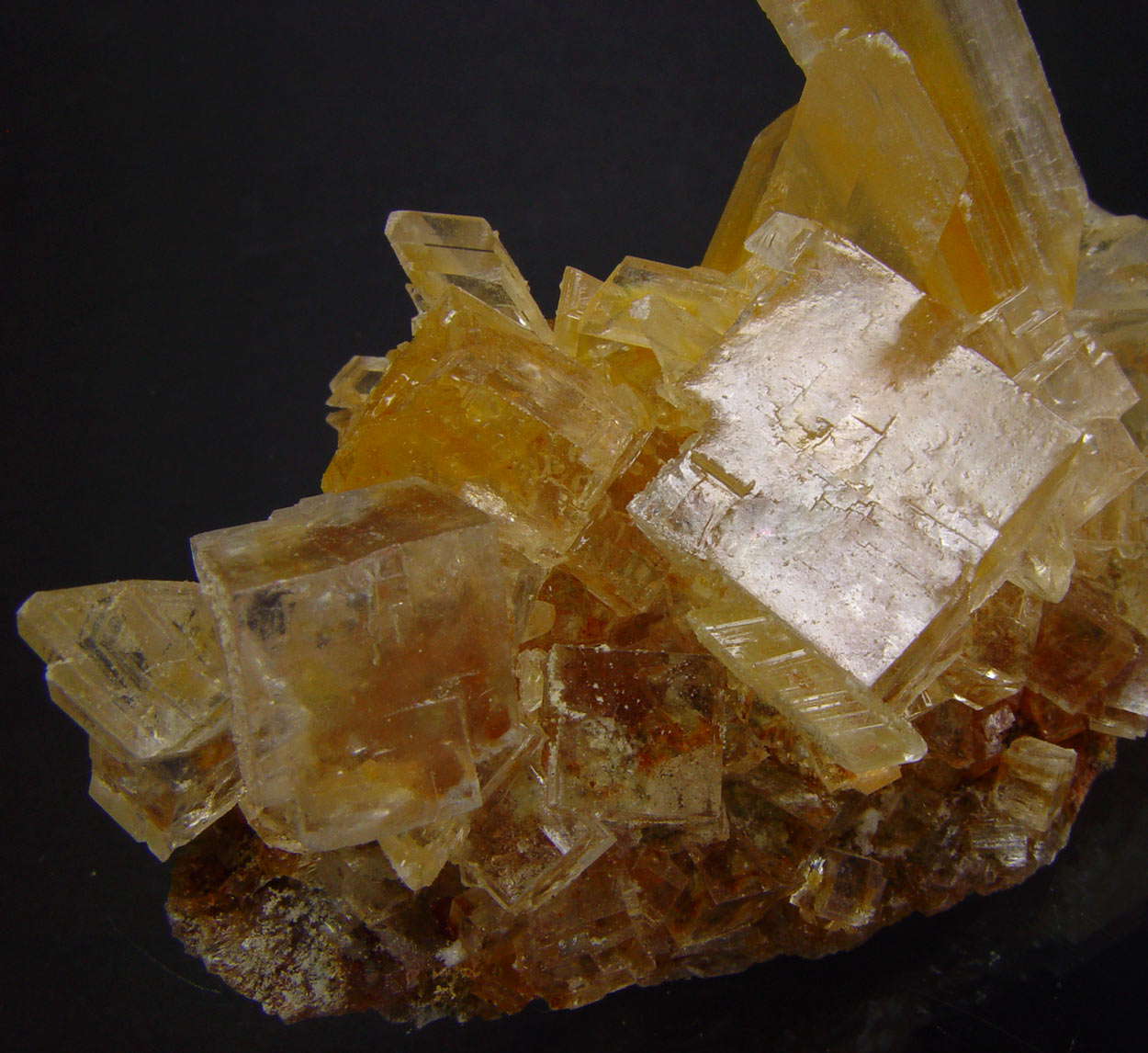 Gypsum On Halite