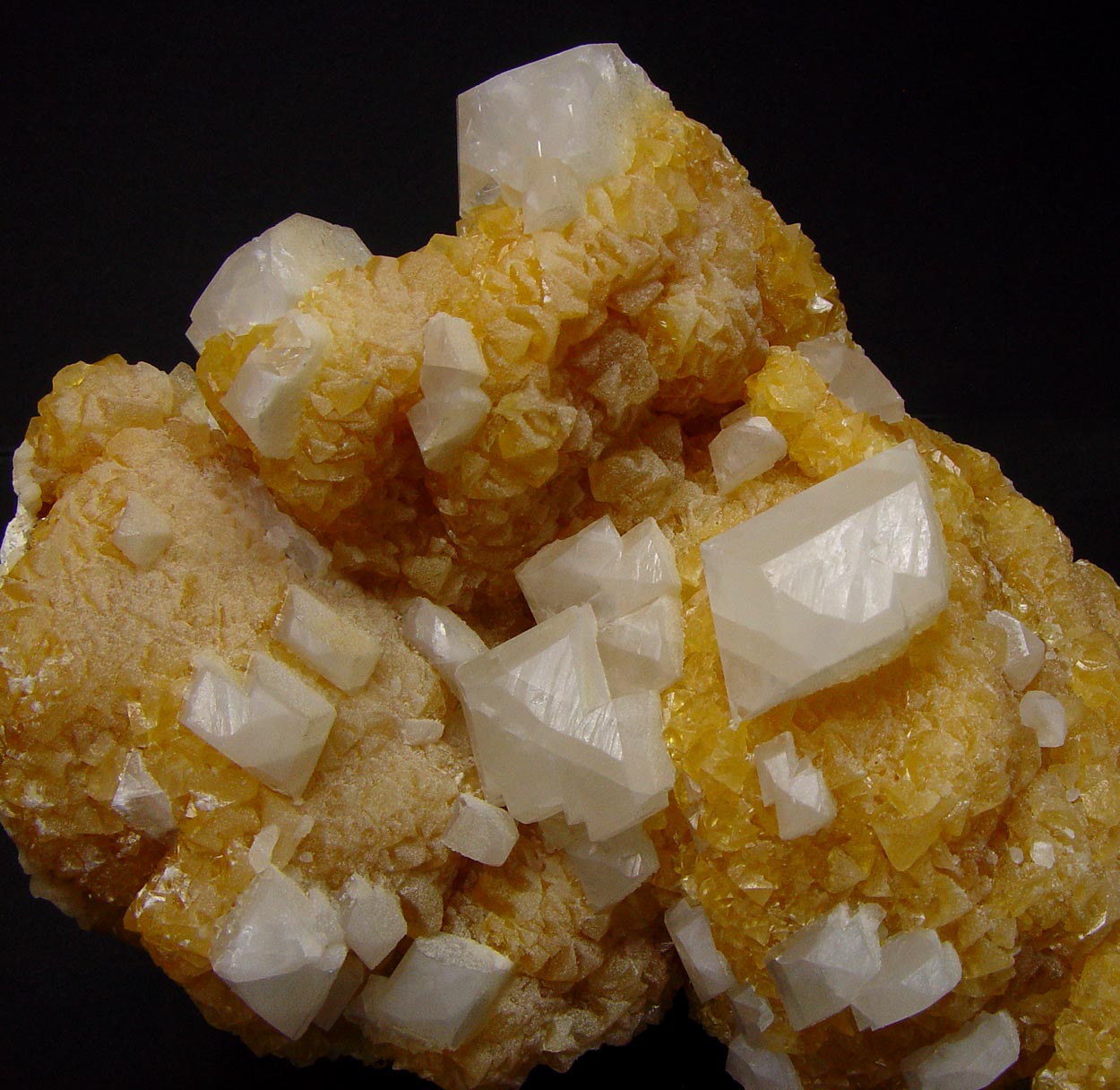 Colemanite