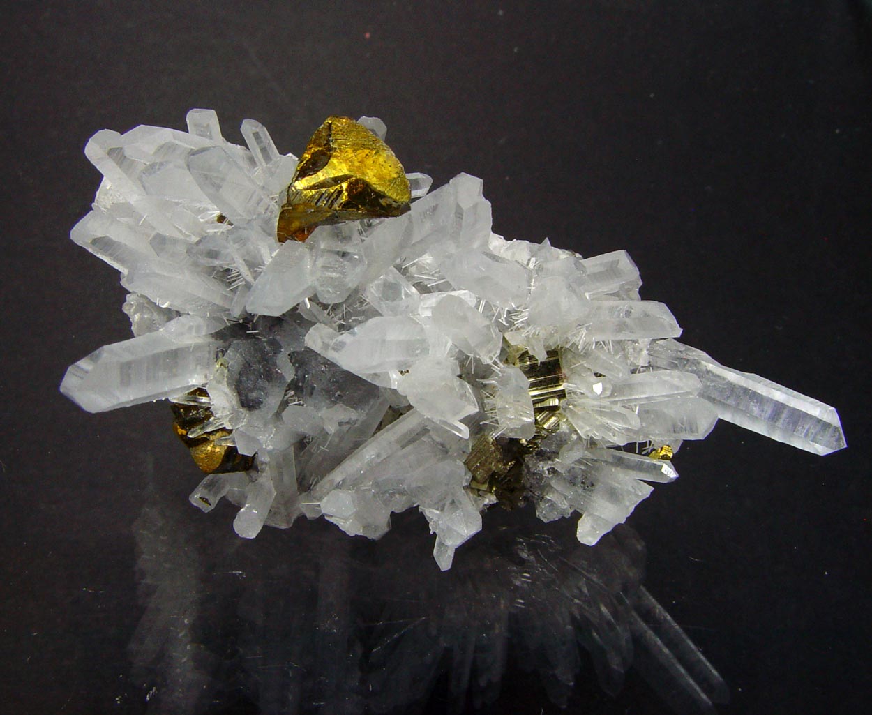 Chalcopyrite & Quartz