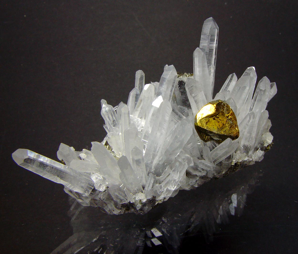 Chalcopyrite & Quartz