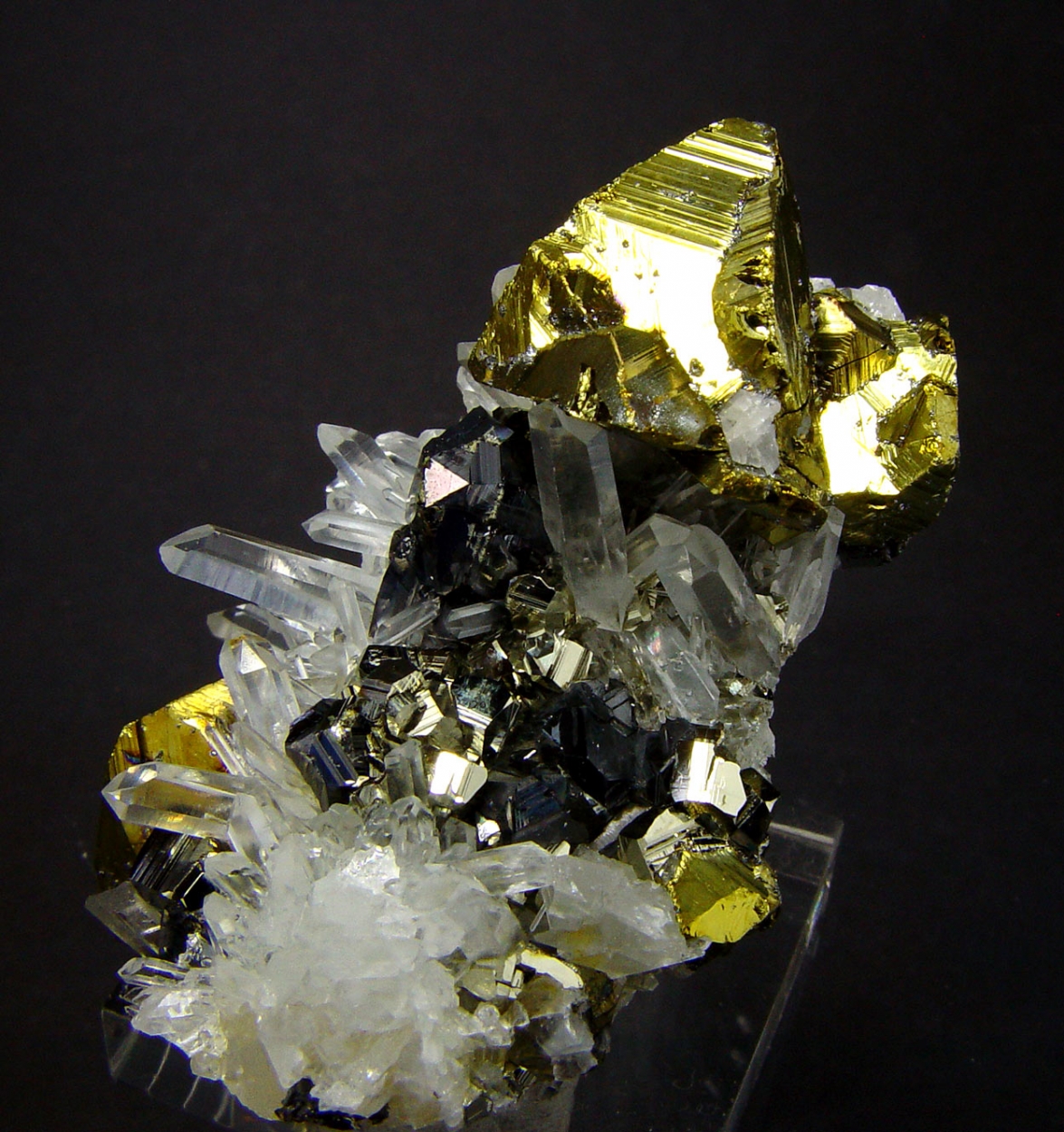 Chalcopyrite & Quartz