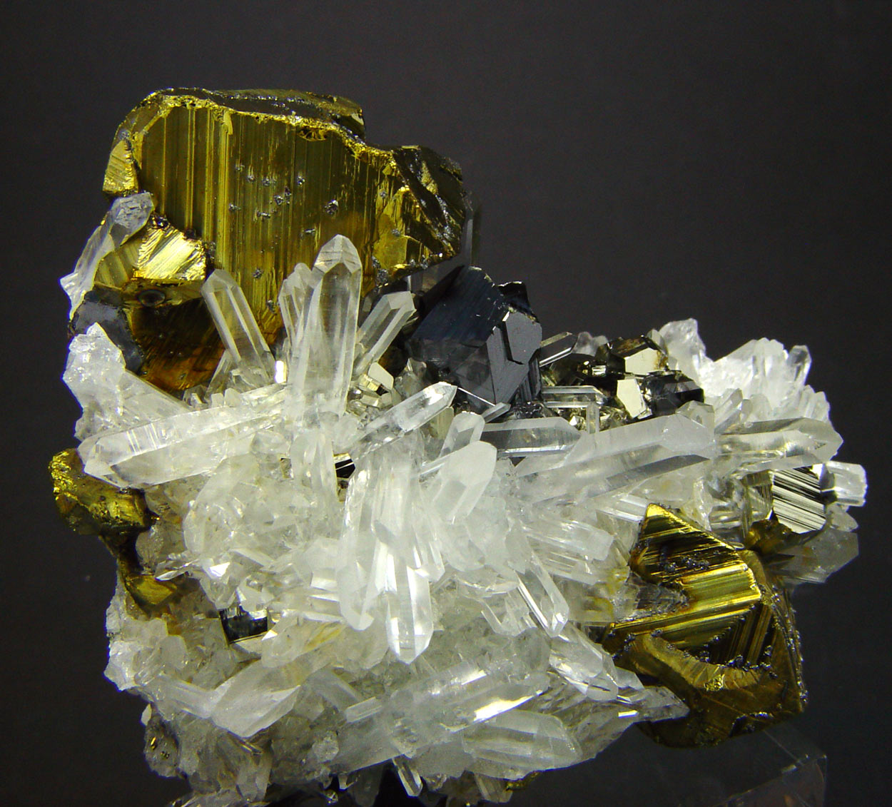 Chalcopyrite & Quartz