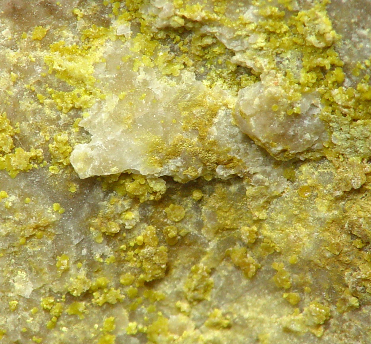 Poughite