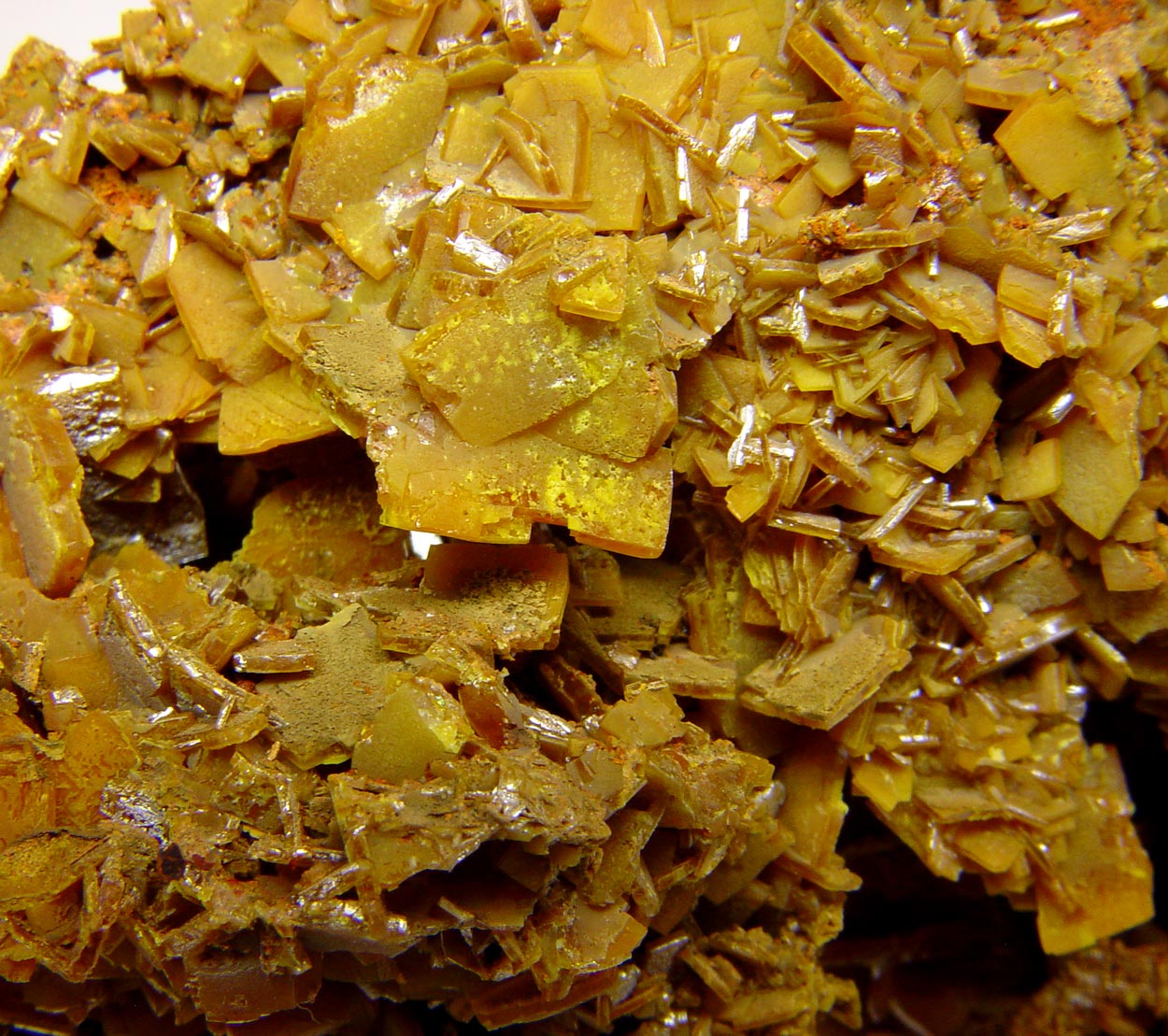 Wulfenite