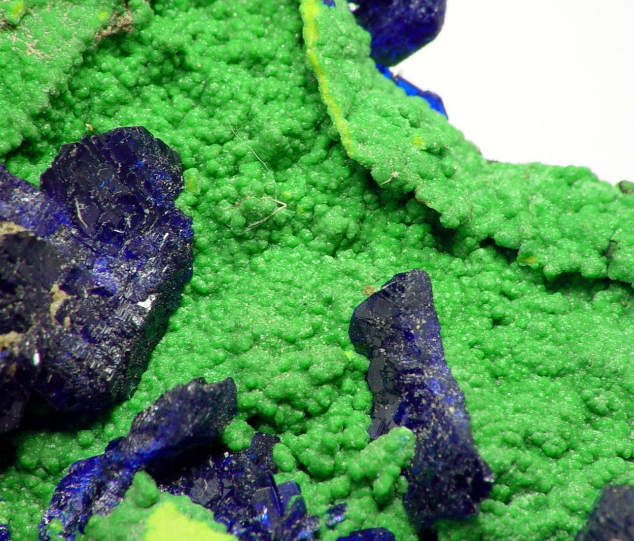 Bayldonite & Azurite