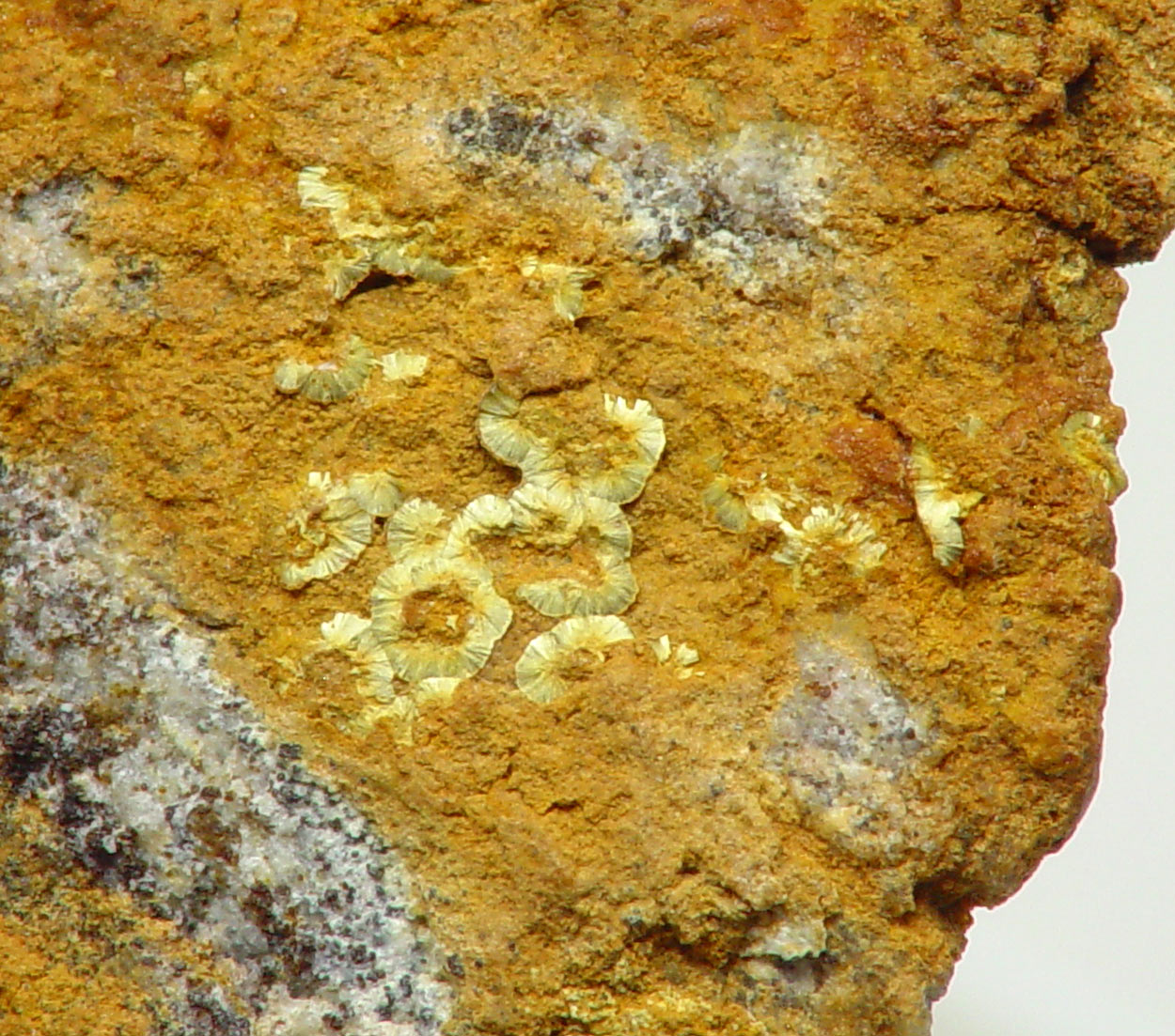 Cobaltarthurite