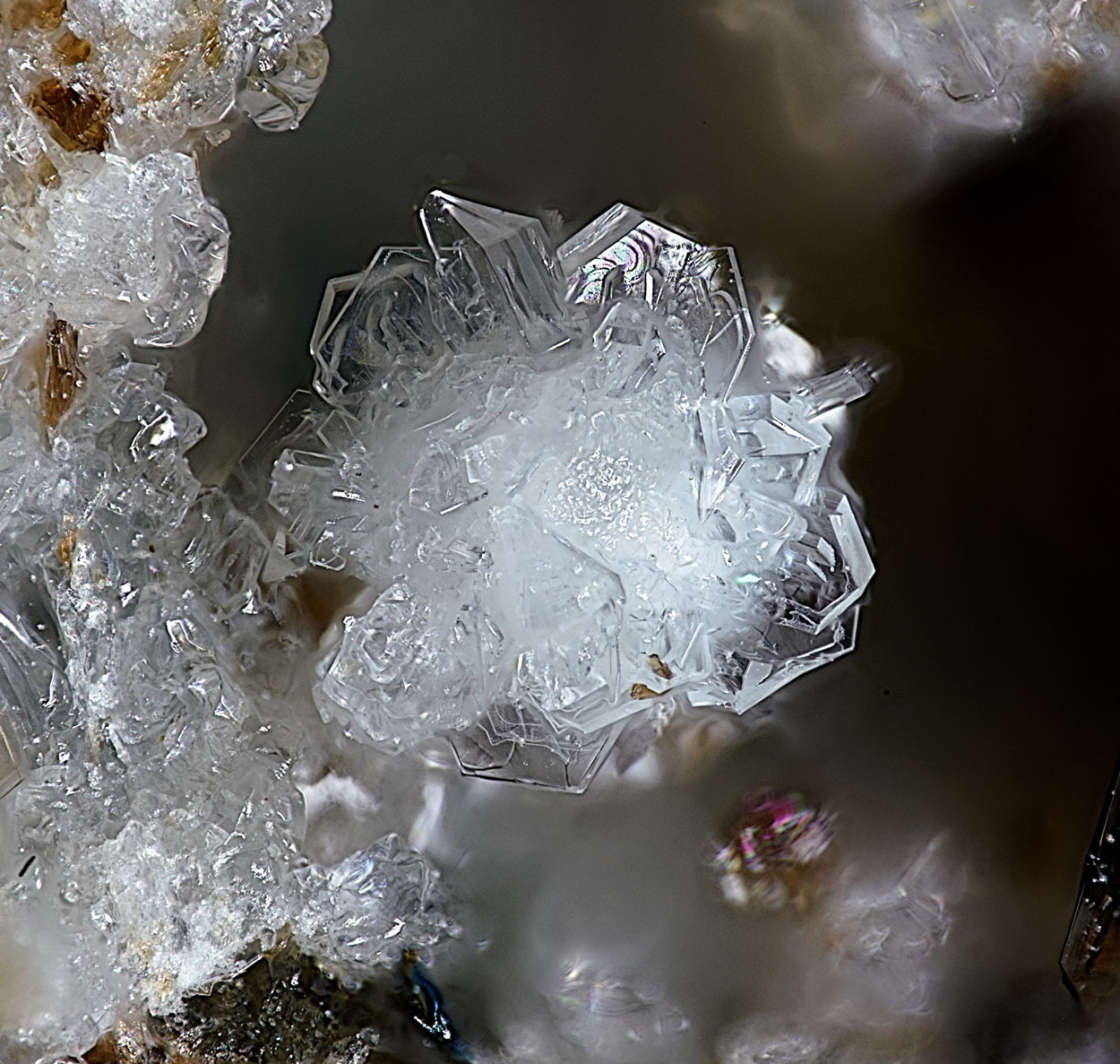 Tridymite & Fluorophlogopite