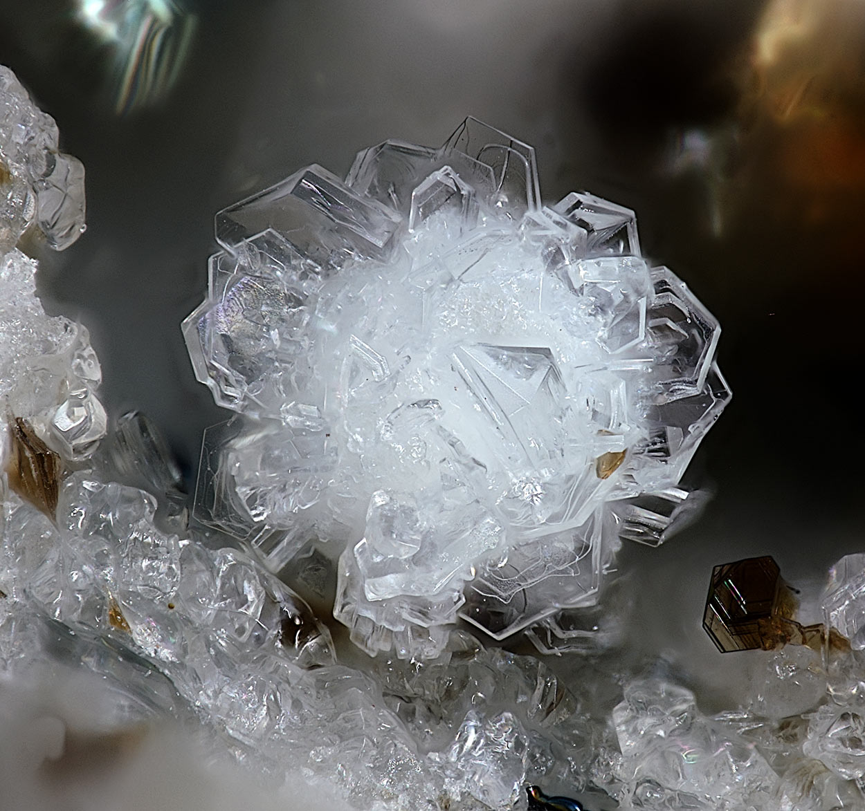 Tridymite & Fluorophlogopite